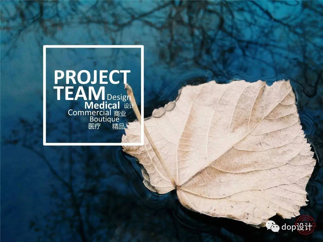 设计公司股权架构设计最佳方案,初创设计公司股权分配