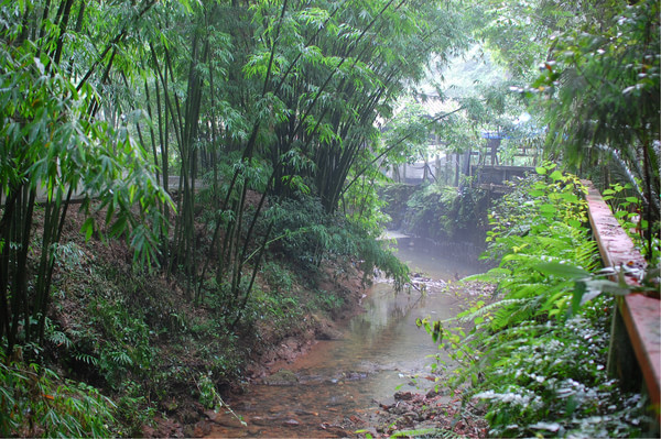 四川热天去哪玩凉快又好玩,四川竹海旅游推荐