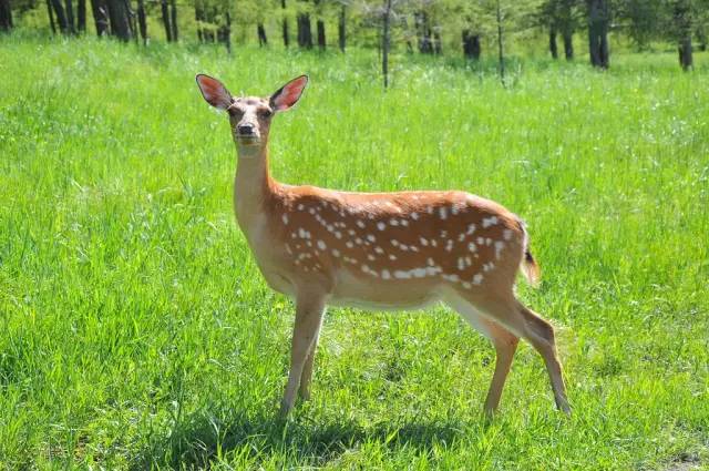 呼和浩特纳凉好地方,呼和浩特周边避暑胜地