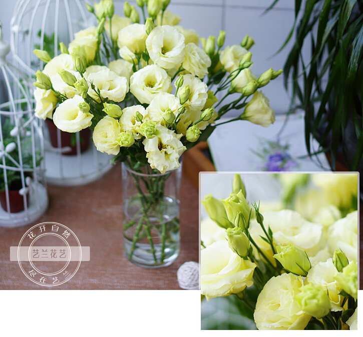 成都好看便宜花店,成都有哪些好的花店