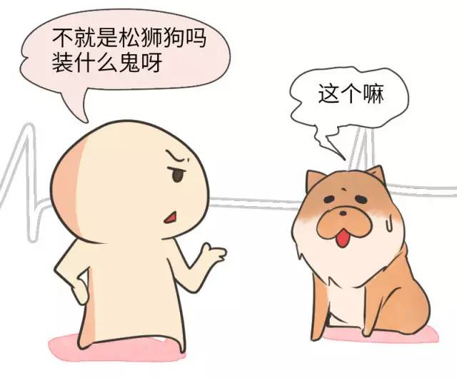 中华名犬唯一上榜的犬,中国顶级中华名犬猎犬