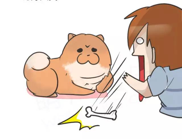 中华名犬唯一上榜的犬,中国顶级中华名犬猎犬