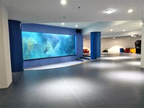 聊城海底世界节目时间表,聊城海底世界国庆