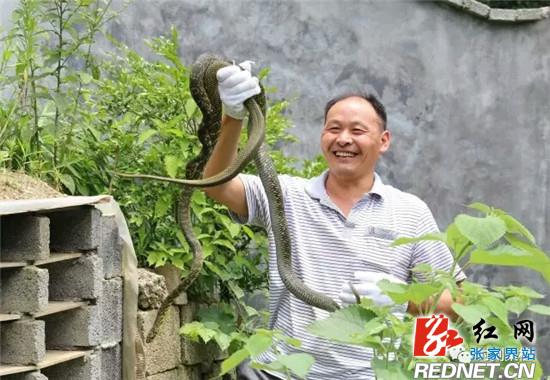 田斌初：痴心养“蛇”走上“致富路”