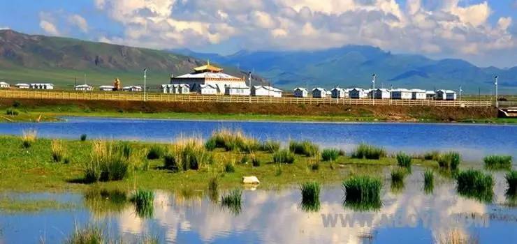 青海湖最省钱的攻略,青海湖最全攻略