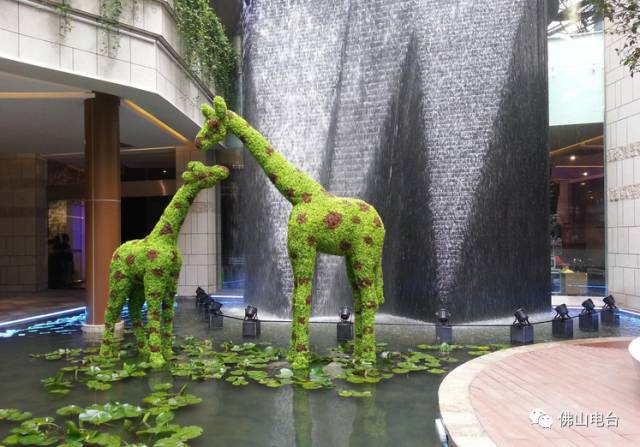 不是段子！非洲小哥竟然在中国被晒黑了！入伏以来，佛山的“热”情已彻底被激活……