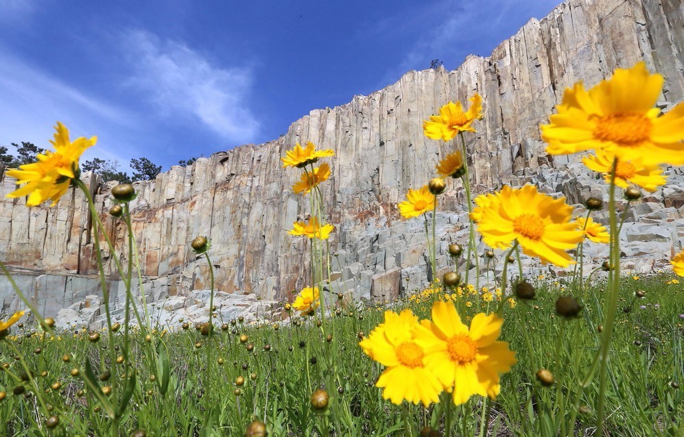 大学生旅游节|青岛最给力25条自由行路线,总有一条适合你!