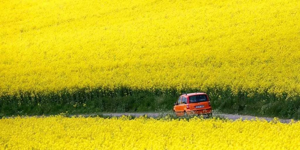 鐟炲吀鏃呮父鑷┚鏀荤暐,鎸▉鑺叞鐟炲吀鑷┚
