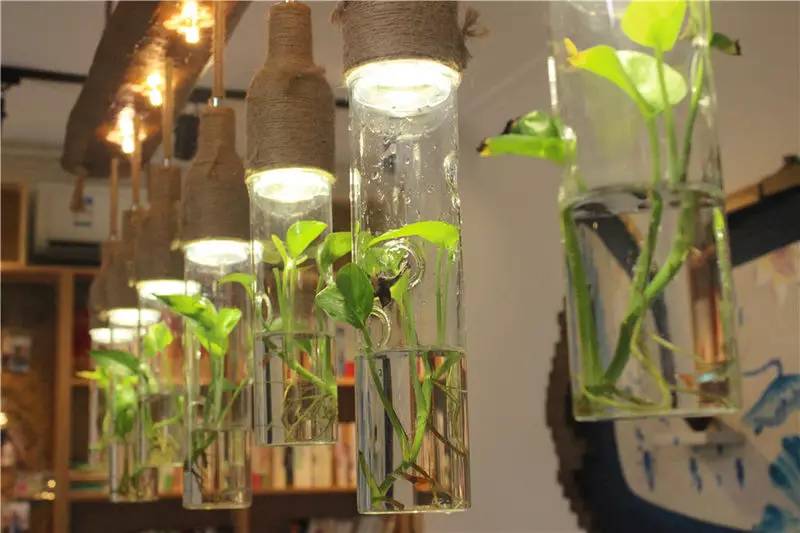 淇澳岛亲子游,一天时间玩转珠海淇澳岛