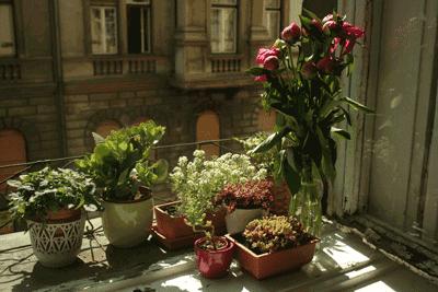 许巍每首歌背后的故事,许巍早期的经典语录