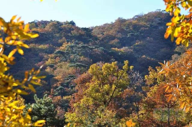 蓟州是后花园,蓟州是天津的后花园