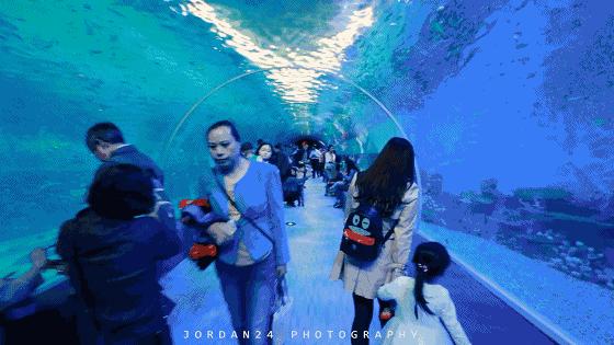 重庆夏季免费耍水地方推荐,重庆区县玩水的避暑胜地