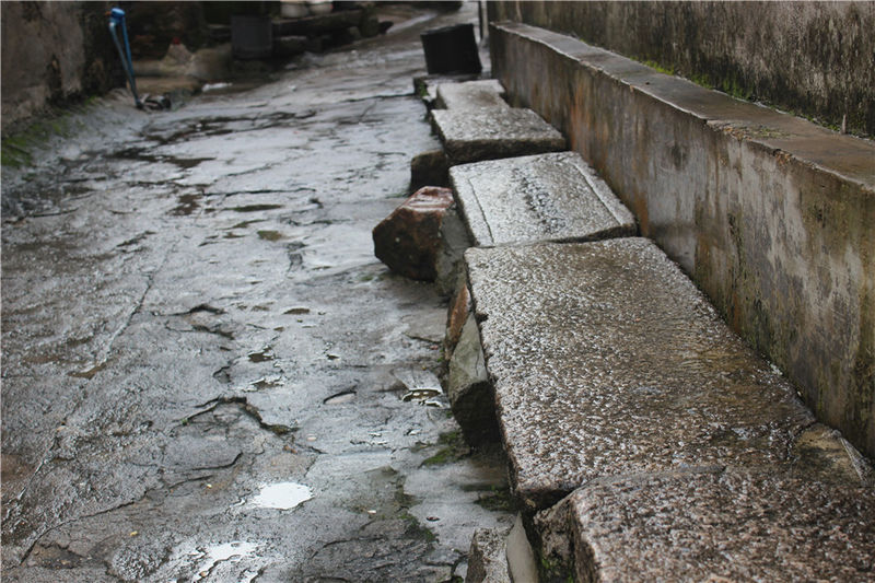 淇澳岛亲子游,一天时间玩转珠海淇澳岛