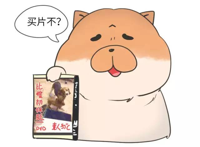 中华名犬唯一上榜的犬,中国顶级中华名犬猎犬