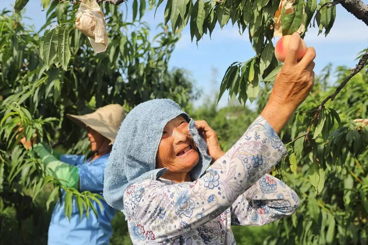 「城事」热浪滚滚仍坚守他们在浦东迎接着“烤”验→