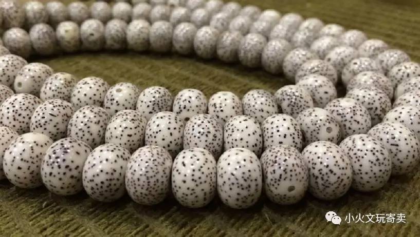 星月菩提如何选购,星月菩提怎么选购