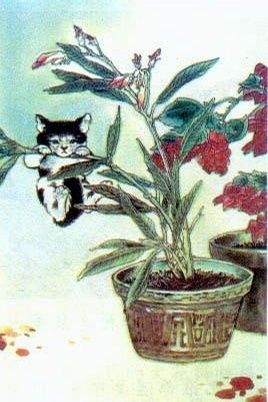 盛世只能吸猫，他们却来吸我荷包