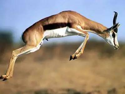 客家话最古老的字,客家人最具代表的字