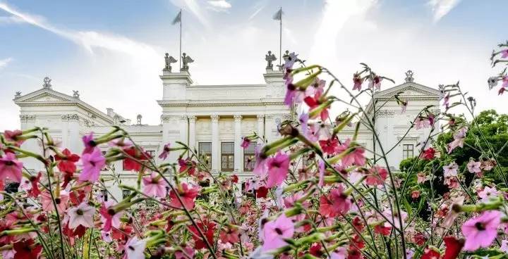 鐟炲吀鏃呮父鑷┚鏀荤暐,鎸▉鑺叞鐟炲吀鑷┚