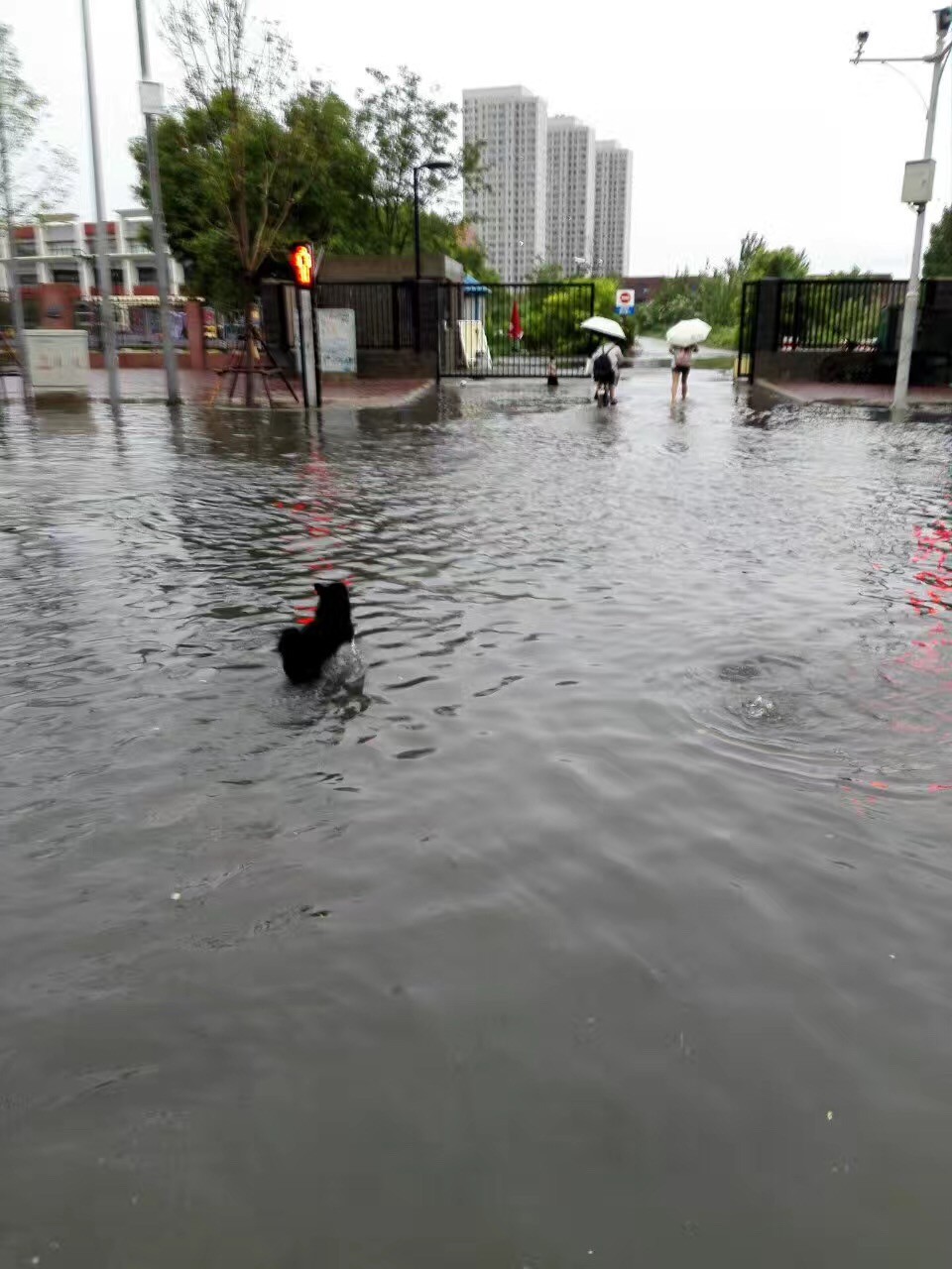 大雨倾城，小海地儿的“海”可一点都不小！