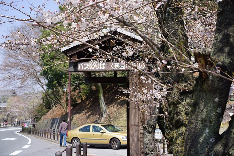 奈良：大和原点｜行舍专栏