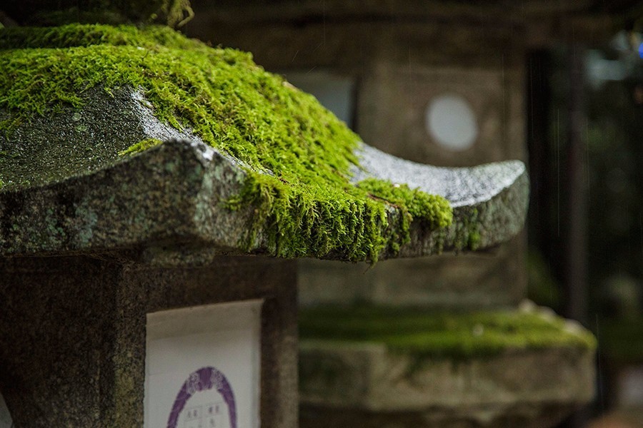 奈良：大和原点｜行舍专栏