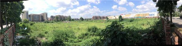 成都双流东升土拍最新,双流最新土拍信息