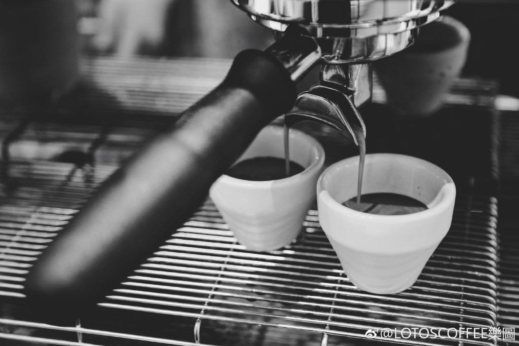 盛夏时光，相遇在菱角湖街角的北欧冷情咖啡店