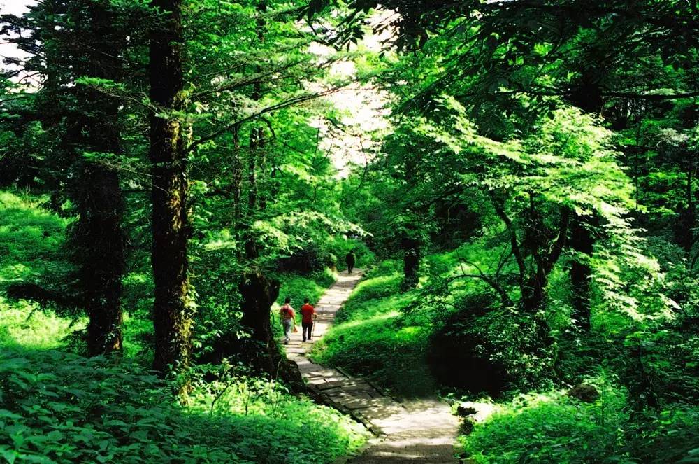 什么颜色能代表乐山?来看看这些颜色,你喜欢它吗?