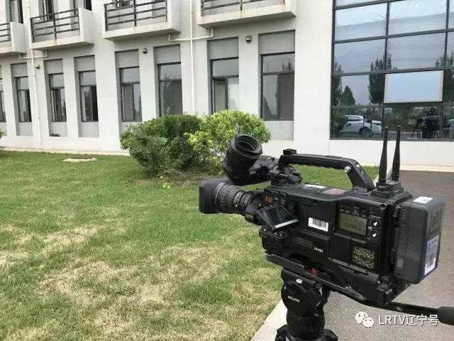 三个推进”辽宁行｜营口这里的企业只需“动嘴”干部帮忙“跑腿”