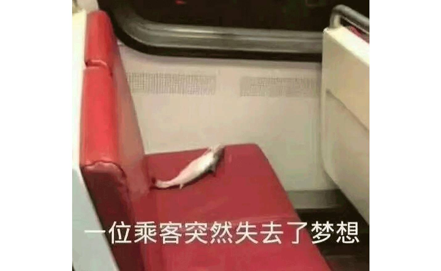 我的祛斑血泪史完整版,我的祛痘史