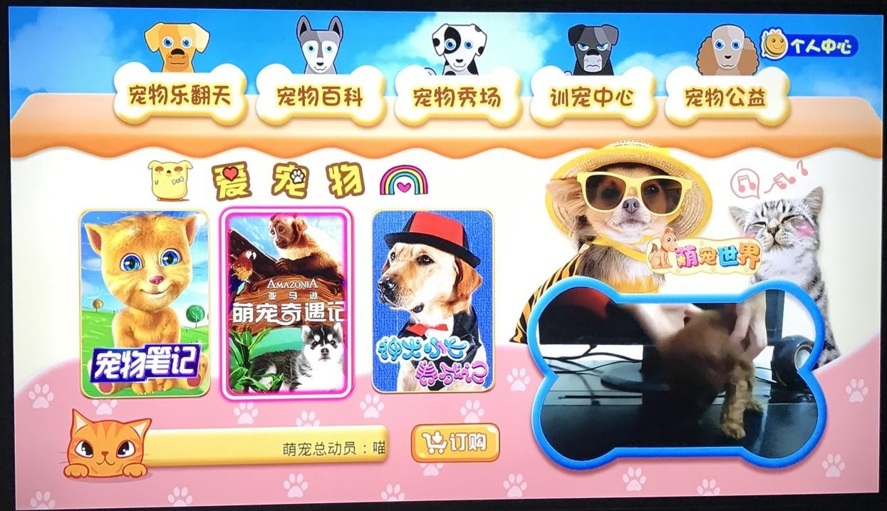 广电有线电视能比iptv好看吗,iptv和普通有线电视哪个更先进