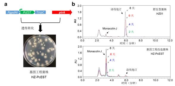 基因工程制药方面的突破,基因重组降血脂药
