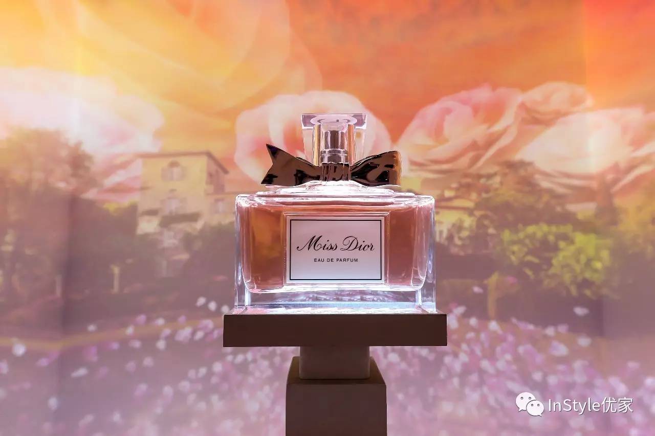 为了爱你可以迁就一切,为了爱你能奋不顾身吗