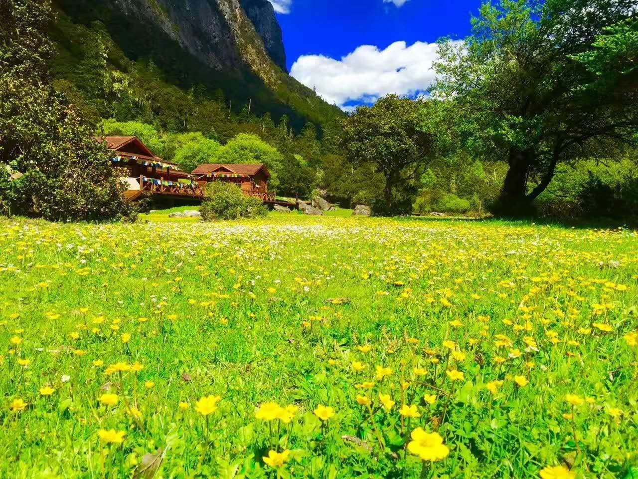 青白江九龙,九龙秘境与沿途景点