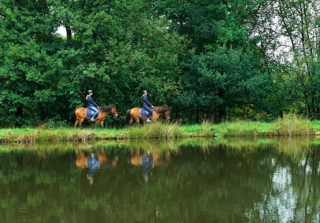 鐟炲吀鏃呮父鑷┚鏀荤暐,鎸▉鑺叞鐟炲吀鑷┚