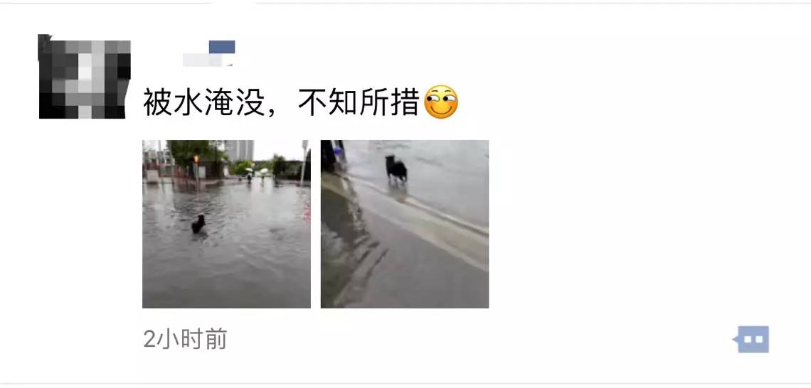 大雨倾城，小海地儿的“海”可一点都不小！