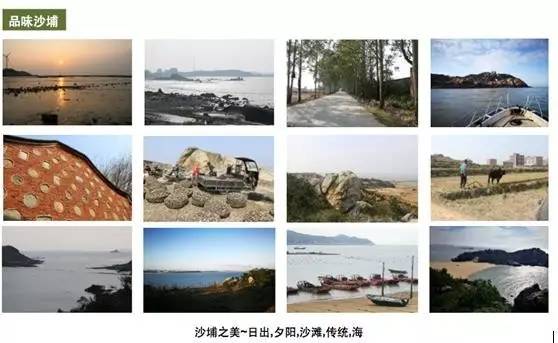 真好！沙埔镇滨海休闲小镇旅游总体规划通过专家评审