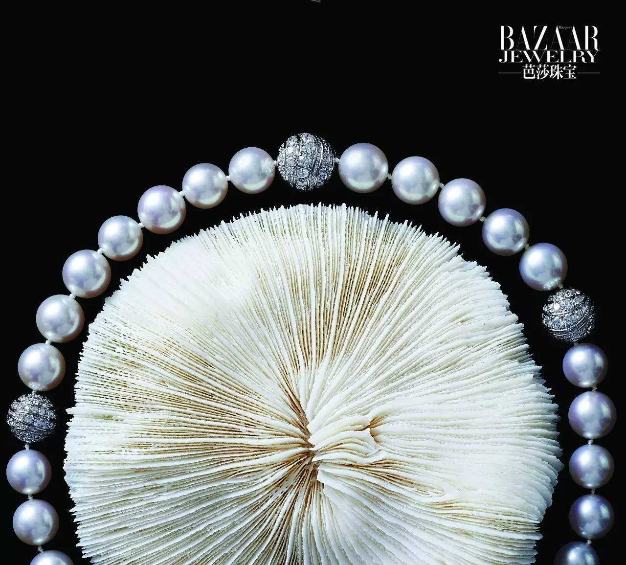 炫美图｜热到和太阳肩并肩？芭珠姐带你去海底捞珍珠！