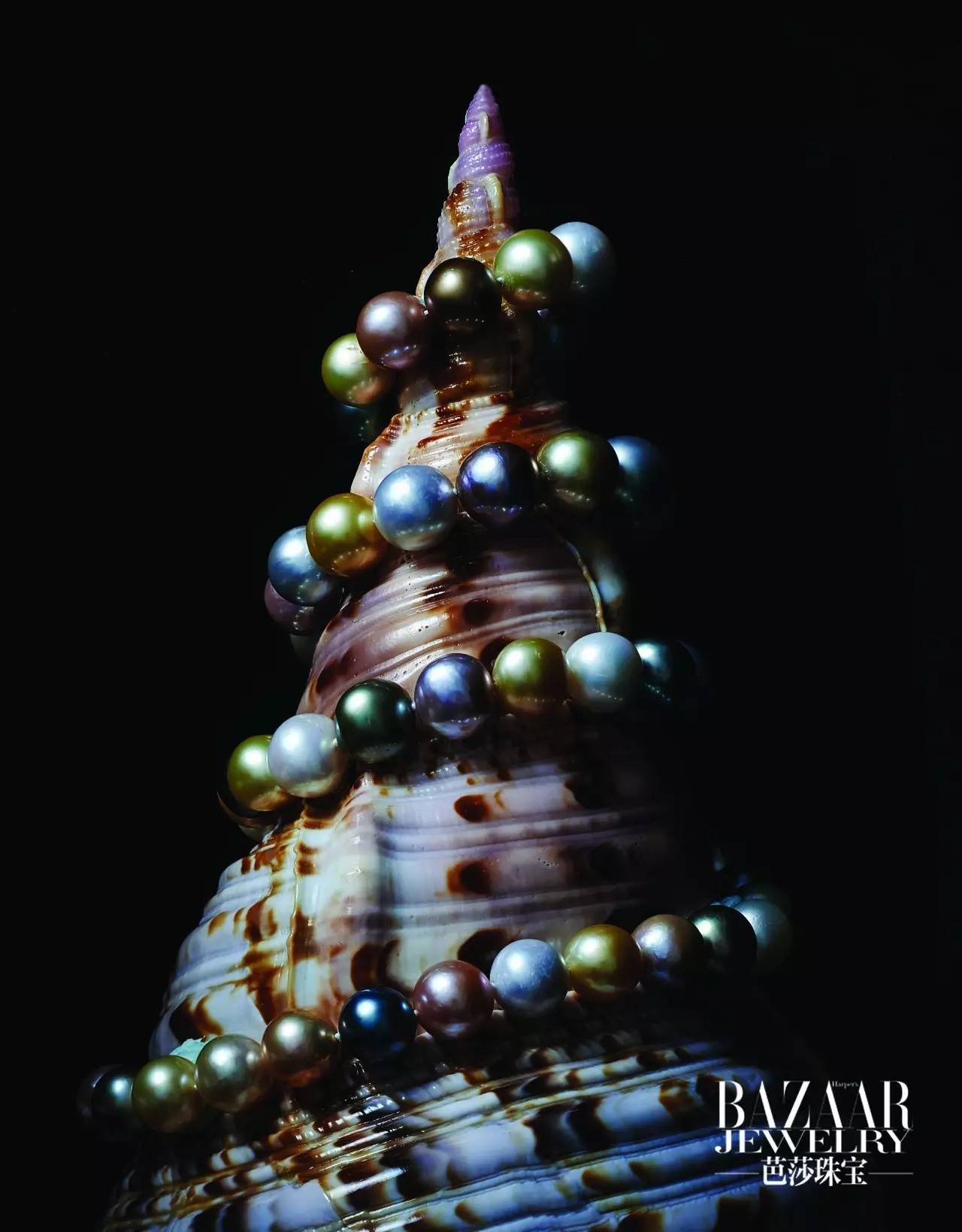 炫美图｜热到和太阳肩并肩？芭珠姐带你去海底捞珍珠！