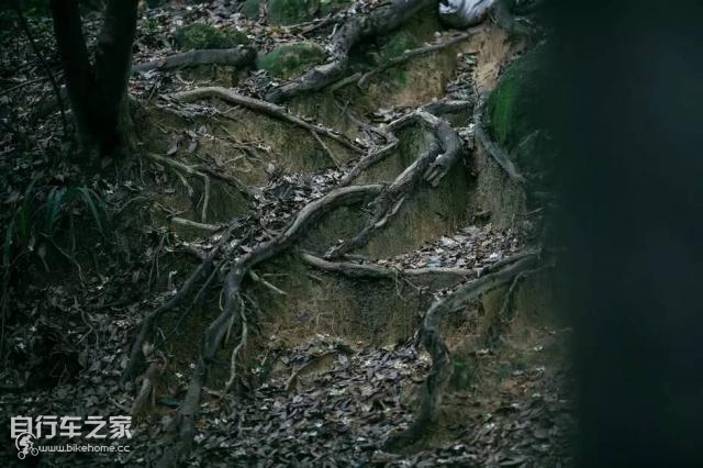 喜德盛山地车最轻量版,超轻自行车《喜德盛》