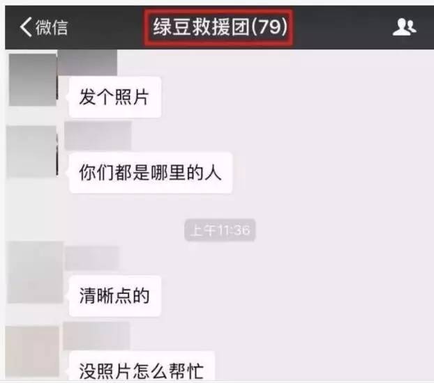 苏州吴中区寻猫启事粉色铃铛,丢猫寻猫启事苏州