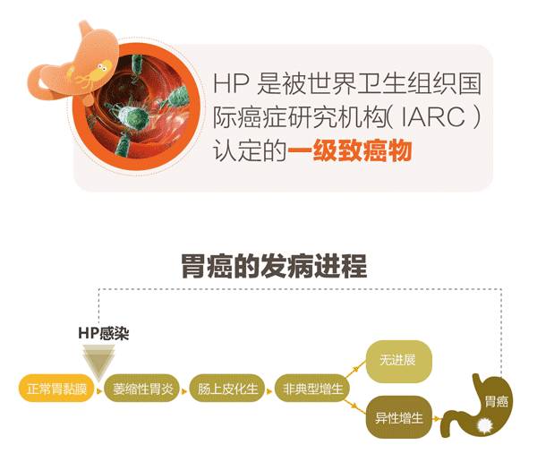 一半中国人都感染这种细菌,究竟要不要治?