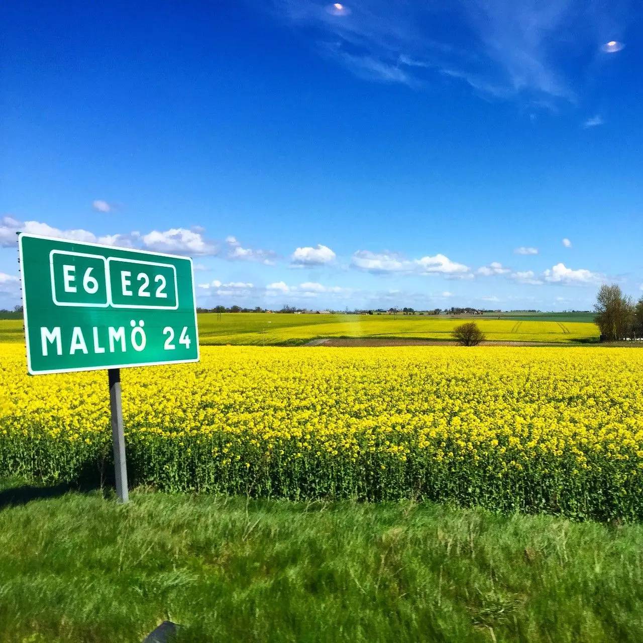 鐟炲吀鏃呮父鑷┚鏀荤暐,鎸▉鑺叞鐟炲吀鑷┚