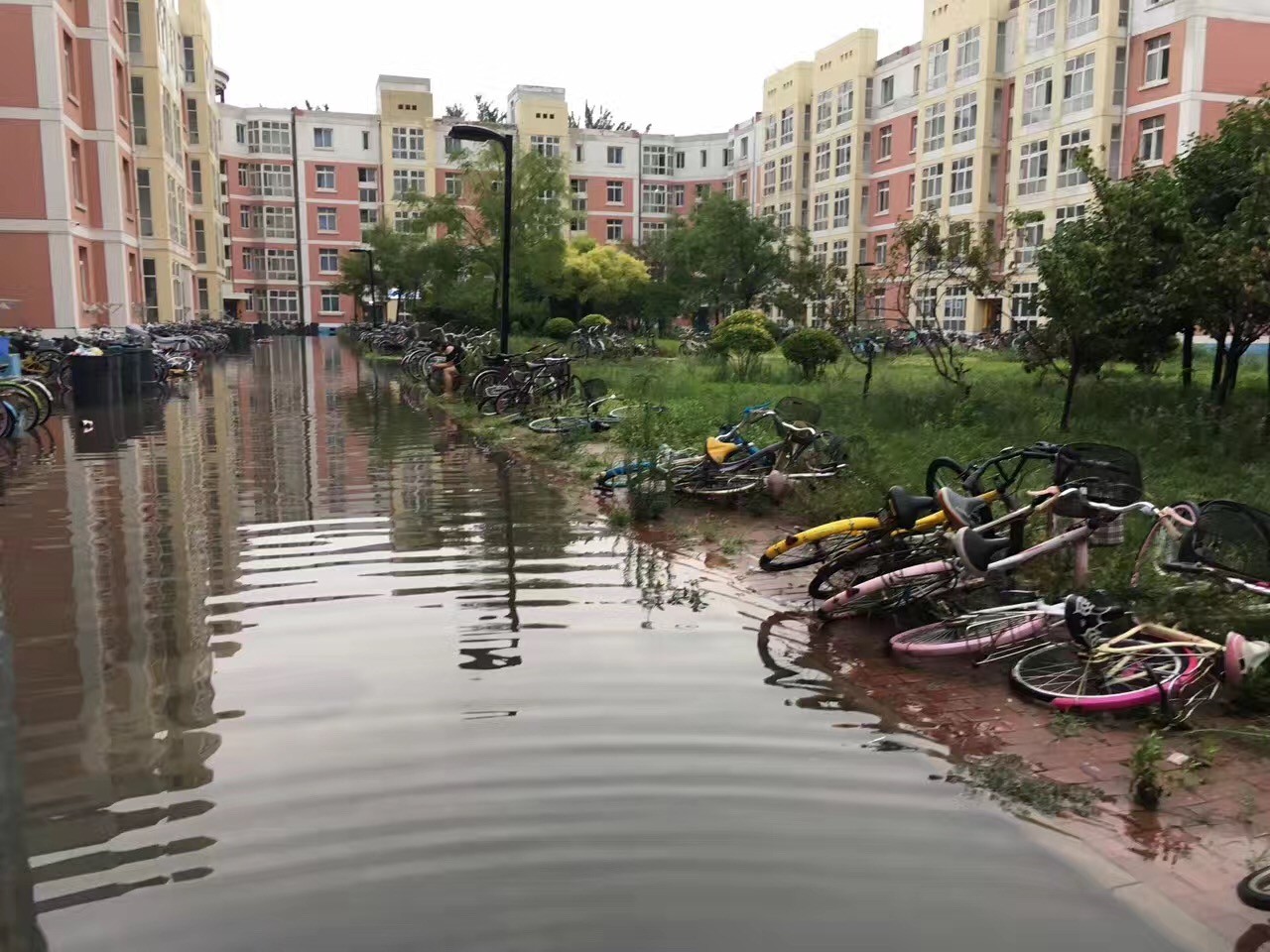 大雨倾城，小海地儿的“海”可一点都不小！