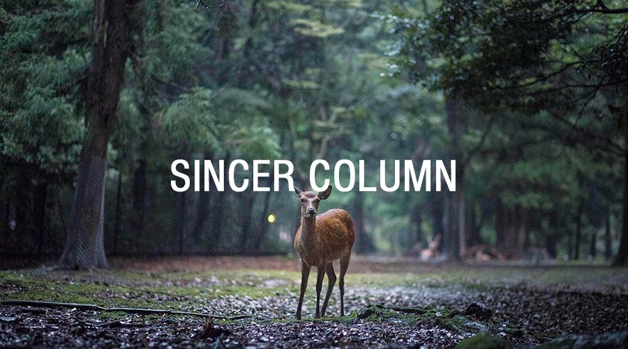 奈良：大和原点｜行舍专栏