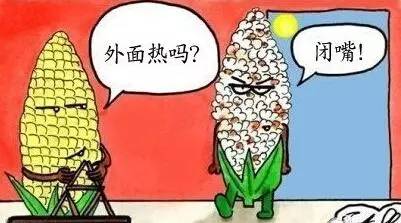 娌欓洉娴锋磱涔愬洯闂ㄧエ浼樻儬,娌欓洉涔愬洯鏅偣闂ㄧエ