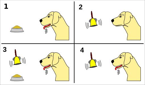 王立铭:育儿文为什么会让你焦虑?