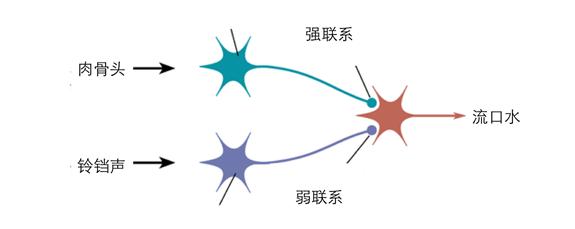 王立铭:育儿文为什么会让你焦虑?