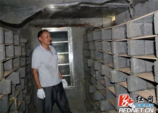 田斌初：痴心养“蛇”走上“致富路”